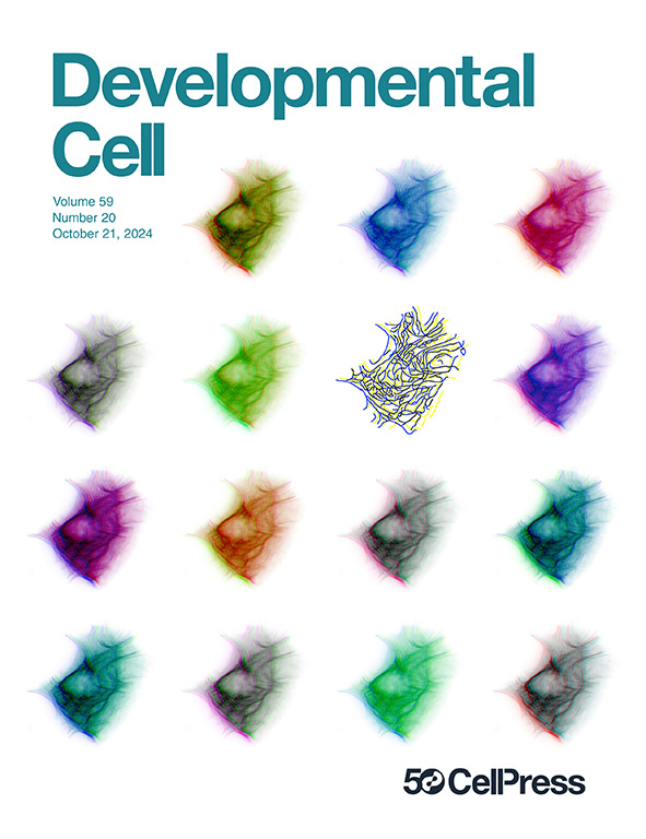 Journal cover with colorful images of intermediate filaments.